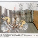 바르바라