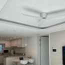 보니 | 강마루 1년 살아보니 느끼는 후기