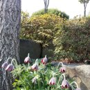 고흥 농장 이미지