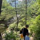 일사대 | 2025 블챌 4주차 왓츠인마이블로그 챌린지