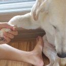 대박스타 이미지