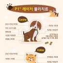 분당중앙 동물병원 이미지
