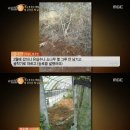 소동마을 농로 이미지