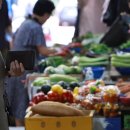 농산물종합시장1 이미지