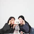 [파주 운정] 홈플러스 근처 ‘운정 셀프 사진관 더메모스튜디오’ 반려견과의 기념 촬영 후기