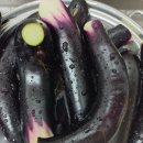 풍년농약마트 이미지