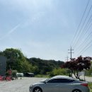 미정식당 이미지