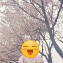 핍티식스