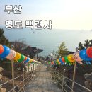 신평역 마을버스 정류소 옆 | 부산 뚜벅이 당일치기 영도 백련사 찾아가는법 이송도전망대 포토존 사찰