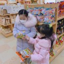 일포목장 네이버블로그