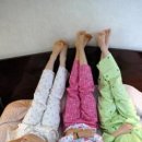 Bullet Train 이미지