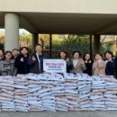 순천마디척의원 이미지