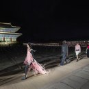 이윤정컬렉션