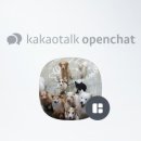 딜라잇독 이미지