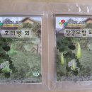 관상농장 이미지