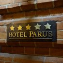 파루스(PARUS)