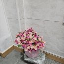 금오스테이 이미지