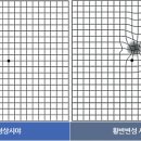 블루페퍼안경망원점 이미지