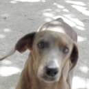 딸기네 호핑, 원마사지 이미지