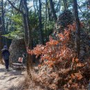 해운대에 올라 이미지