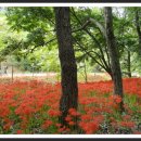 용천사입구 이미지