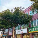 서홍동 서귀포 보건소 옆 네이버블로그