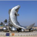 2025 섬 홍매화축제 이미지