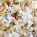 [충북 식당] 경동시장 보리밥 맛집 솔직후기