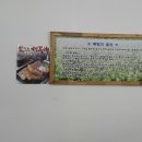 원주옹심이메밀칼국수