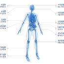 이에이치엘 이미지