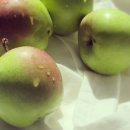 명덕농장 이미지