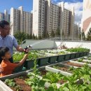 화명1동-2 이미지