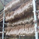 하나정보 이미지