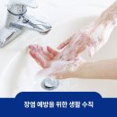 장염증상 원인부터 대처법까지 총정리 장염 빨리 낫는 방법 이미지