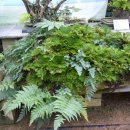 자연예술랜드 이미지