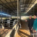 사천축산 이미지