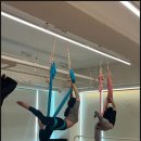 요가&필라테스 이미지