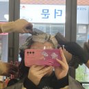 신촌 미용실 마센느 홍대신촌점 디자이너 다나쌤 염색 후기
