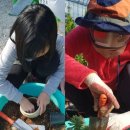 수두농장 이미지