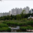 금사대우아파트 앞 이미지