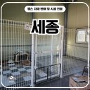 경희농장 | 세종휀스 펜스 - 강아지 뛰쳐나가서 놀라셨죠? 세종휀스가 답입니다