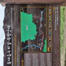 솔내음과 물소리 이미지