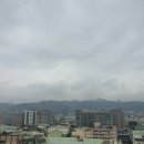 아지나라 이미지