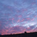 막창이야기 이미지