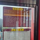 고래정원 | 울산 장생포 고래문화마을 모노레일 수국정원 후기