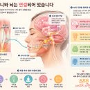 해처럼 빛나는 당신을 위한 습관, 해빛(Habit)