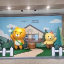 휘닉스 블루캐니언사우나 | 휘닉스파크 워터파크 블루캐니언 및 그린동 후기 + 치약가져가세요!!!!
