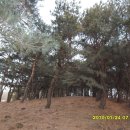 송전목장 이미지