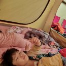 공주산림휴양마을 : 야영장 목재문화체험장 유아숲체험원