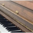 반도음악학원 이미지